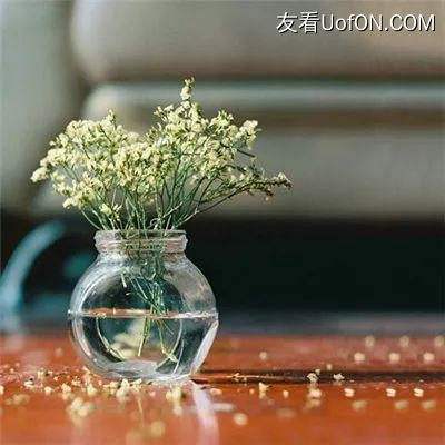 萌斗魏蜀吴h5变态版下载
